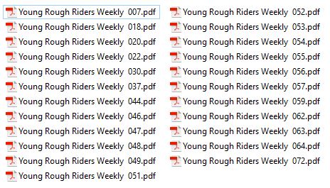 otryoungroughriderslist.jpg